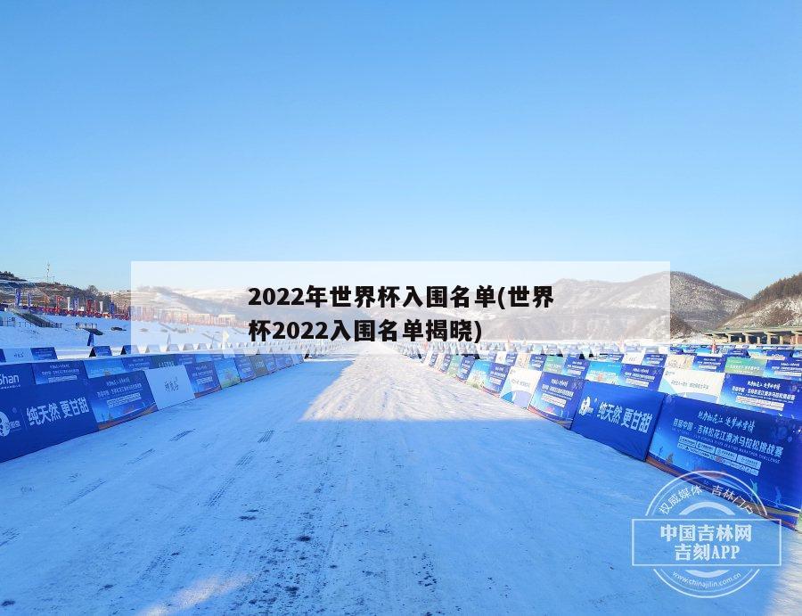 2022年世界杯入围名单(世界杯2022入围名单揭晓)