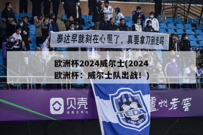 欧洲杯2024威尔士(2024欧洲杯：威尔士队出战！)