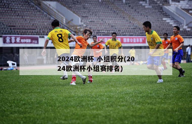 2024欧洲杯 小组积分(2024欧洲杯小组赛排名)