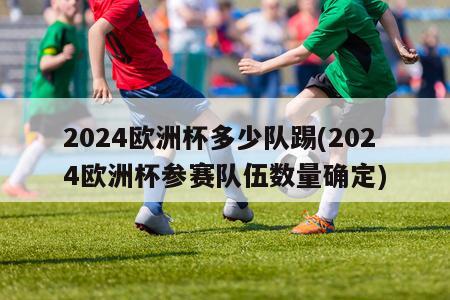 2024欧洲杯多少队踢(2024欧洲杯参赛队伍数量确定)