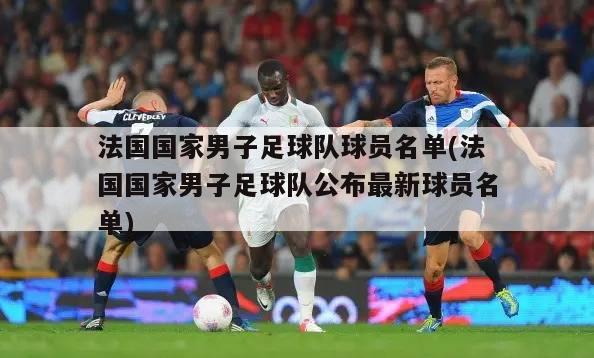 法国国家男子足球队球员名单(法国国家男子足球队公布最新球员名单)