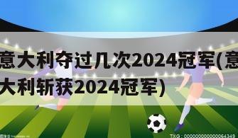 意大利夺过几次2024冠军(意大利斩获2024冠军)